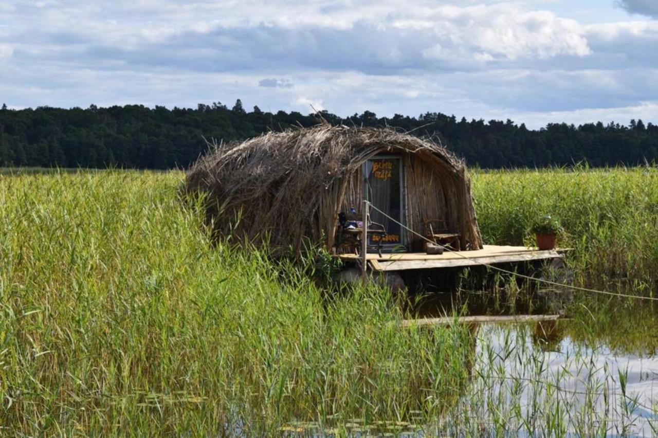 Bebru Maja - Beaver House Usma Exteriör bild