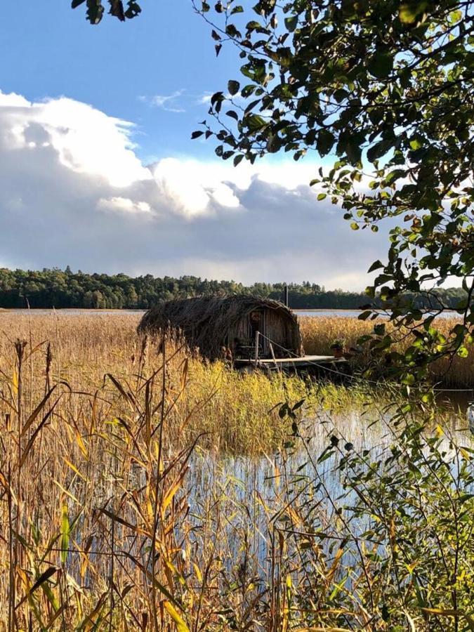 Bebru Maja - Beaver House Usma Exteriör bild