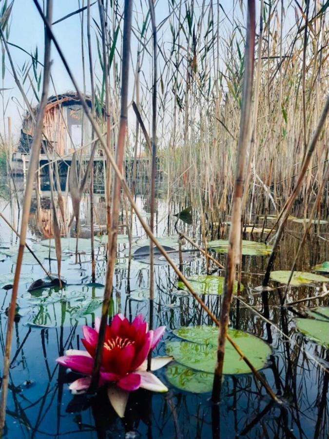 Bebru Maja - Beaver House Usma Exteriör bild
