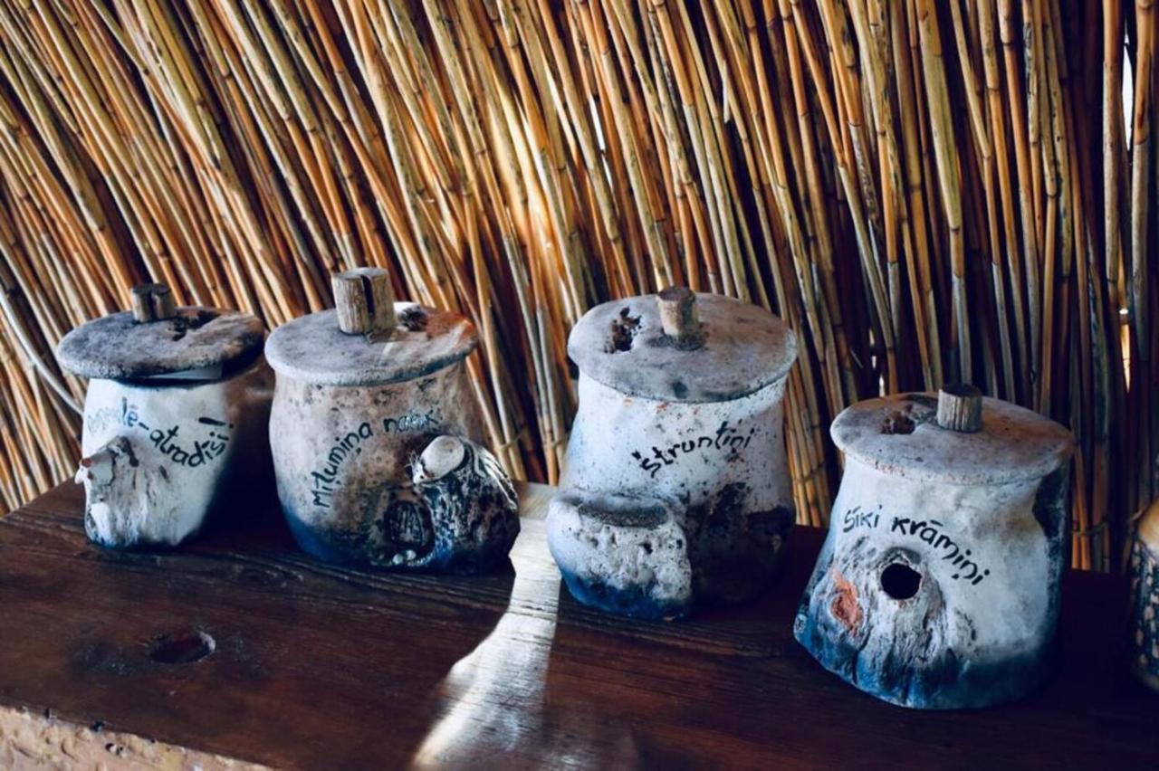 Bebru Maja - Beaver House Usma Exteriör bild