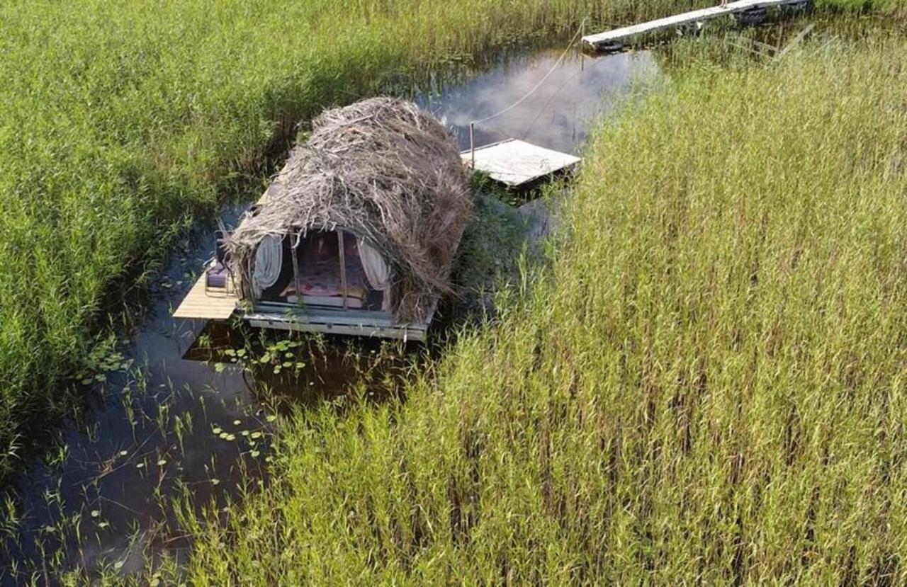 Bebru Maja - Beaver House Usma Exteriör bild