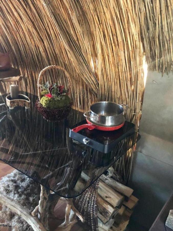 Bebru Maja - Beaver House Usma Exteriör bild