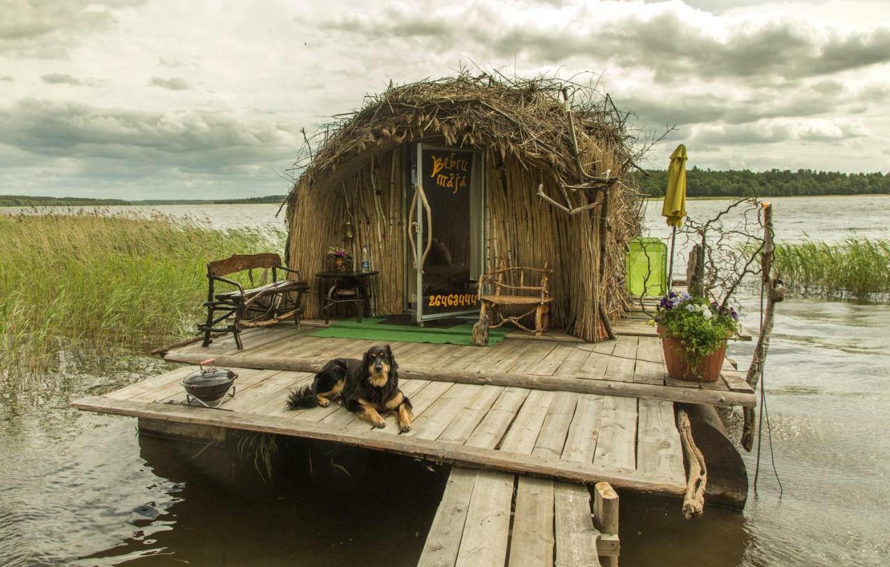 Bebru Maja - Beaver House Usma Exteriör bild